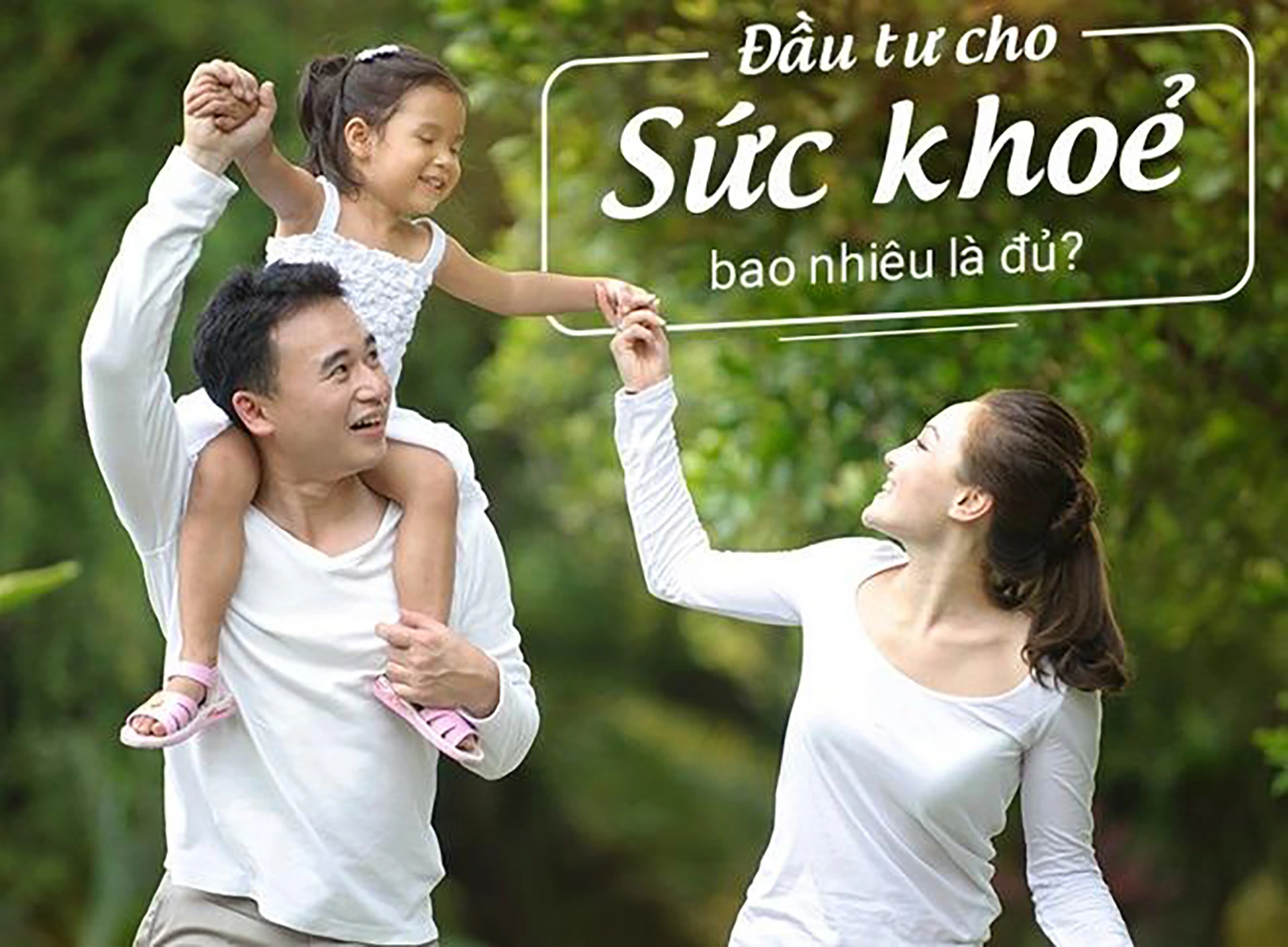 Dinh Dưỡng Hợp Lý Cho Người Lớn Tuổi: Chìa Khóa Sống Khỏe, Sống Thọ